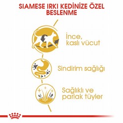 Royal Canin Siamese Adult Siyam Yetişkin Kedi Maması 2 Kg - Thumbnail