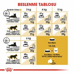 Royal Canin Siamese Adult Siyam Yetişkin Kedi Maması 2 Kg - Thumbnail