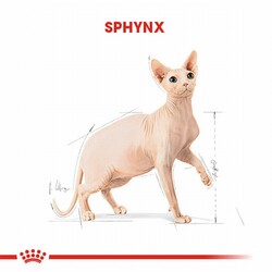 Royal Canin Sphynx Adult Yetişkin Kedi Maması 2 Kg - Thumbnail