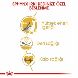 Royal Canin Sphynx Adult Yetişkin Kedi Maması 2 Kg - Thumbnail