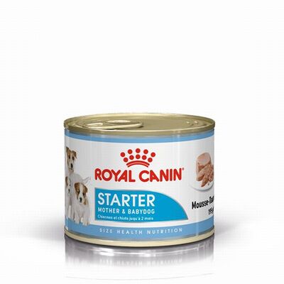 Royal Canin Starter Mother Babydog Yavru Köpek Konservesi 6 Adet 195 Gr 