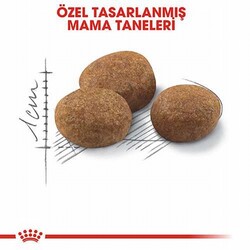 Royal Canin Sterilised 7+ Kısırlaştırılmış Yaşlı Kedi Maması 1,5 Kg - Thumbnail