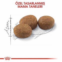 Royal Canin Sterilised 37 Kısırlaştırılmış Kedi Maması 400 Gr - Thumbnail