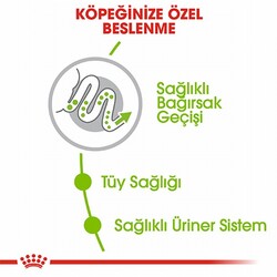 Royal Canin X Small Adult Küçük Irk Yetişkin Köpek Maması 1,5 Kg - Thumbnail