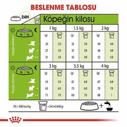 Royal Canin X Small Adult Küçük Irk Yetişkin Köpek Maması 1,5 Kg - Thumbnail