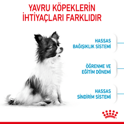 Royal Canin X Small Puppy Küçük Irk Yavru Köpek Maması 1,5 Kg - Thumbnail