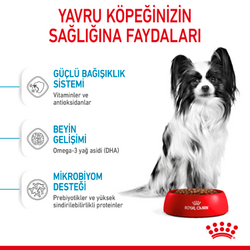 Royal Canin X Small Puppy Küçük Irk Yavru Köpek Maması 1,5 Kg - Thumbnail