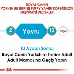 Royal Canin Yorkshire Terrier Puppy Yavru Köpek Maması 1,5 Kg - Thumbnail