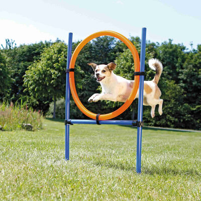 Trixie Agility Köpek Eğitim Çemberi 115x65x3 Cm