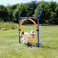 Trixie Agility Köpek Eğitim Çemberi 115x65x3 Cm - Thumbnail