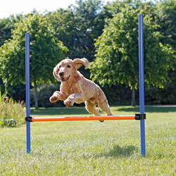 Trixie - Trixie Agility Köpek Eğitim Manisi 129x115x3 Cm