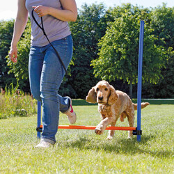 Trixie Agility Köpek Eğitim Manisi 129x115x3 Cm - Thumbnail