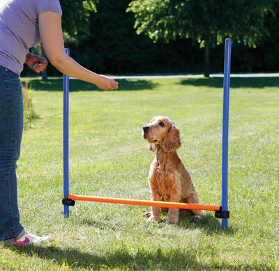 Trixie Agility Köpek Eğitim Manisi 129x115x3 Cm