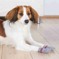 Trixie Kaymaz Tabanlı Köpek Çorabı 2 Adet Gri XL - Thumbnail