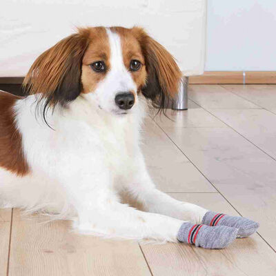 Trixie Kaymaz Tabanlı Köpek Çorabı 2 Adet Gri XL