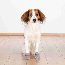 Trixie Kaymaz Tabanlı Köpek Çorabı 2 Adet Gri XL - Thumbnail