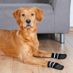 Trixie - Trixie Kaymaz Tabanlı Köpek Çorabı 2 Adet L–Xl