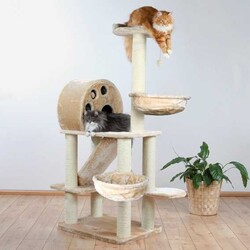 Trixie Allora Kedi Tırmalama ve Oyun Evi - Thumbnail