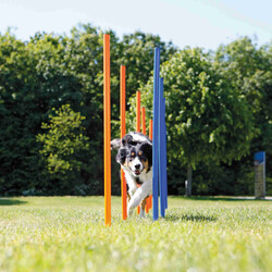 Trixie Agility Köpek Eğitim Direkleri 13x110 Cm 12'li - Thumbnail