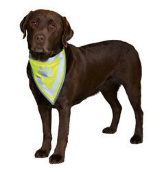 Trixie - Trixie Köpek Bandanası 42-60 Cm L-XL