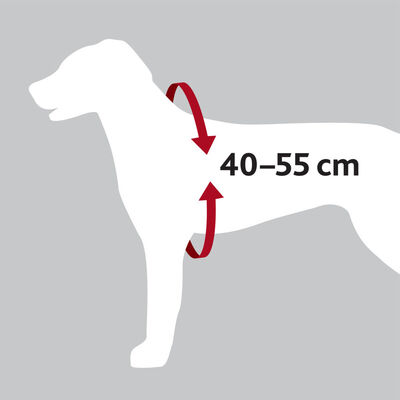 Trixie Köpek Emniyet Kemeri ve Göğüs Tasması Siyah S-M 40-55 Cm 17 Mm