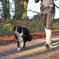 Trixie Yürüme Kemeri ve Köpek Gezdirme Kayışı 60-120/100-135 Cm - Thumbnail