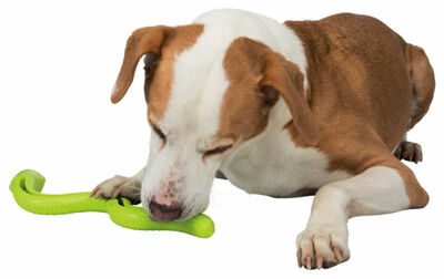 Trixie Termoplastik Yeşil Yılan Köpek Ödül Oyuncağı 42 Cm