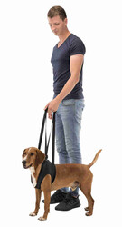 Trixie Köpek Yürütme Yardımcısı Siyah L-XL 75-85 Cm - Thumbnail