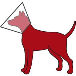 Trixie Şeffaf Plastik Köpek Koruyucu Yakalık XS 18-23 Cm 8 Cm - Thumbnail