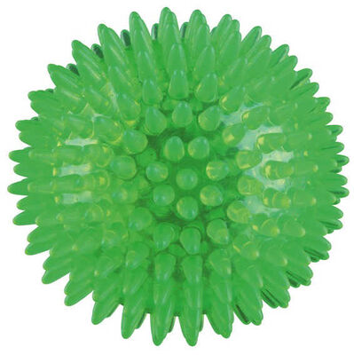 Trixie Termoplastik Kauçuk Kirpi Top Köpek Oyuncağı 12 Cm